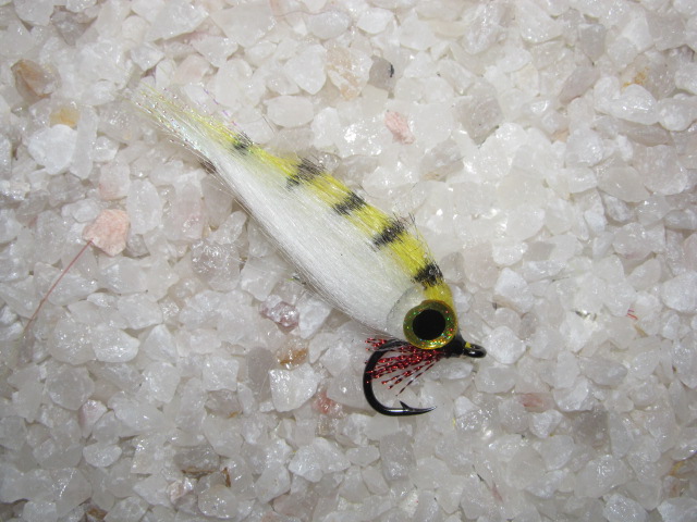 CRAFT minnow