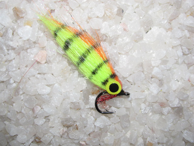 CRAFT minnow